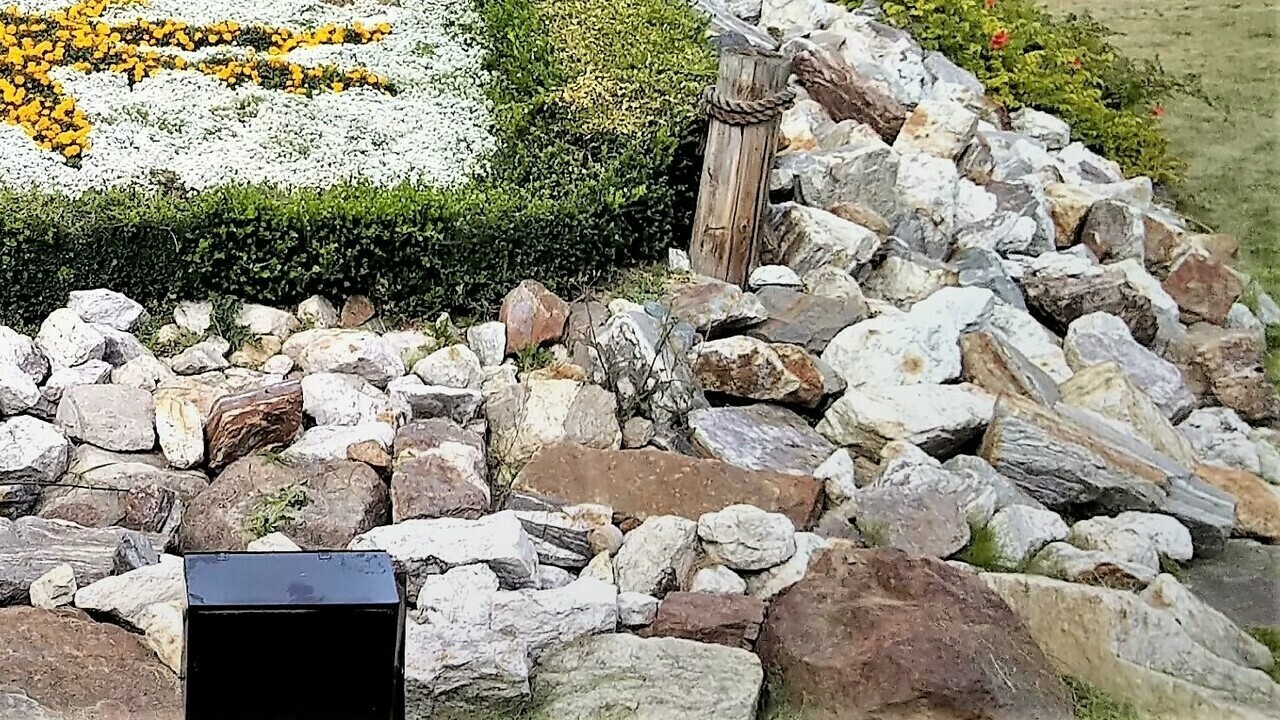 Gallery Photo