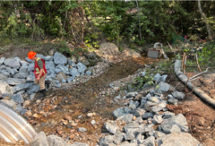 Environmental consultant monitors the site as the creek is reintroduced