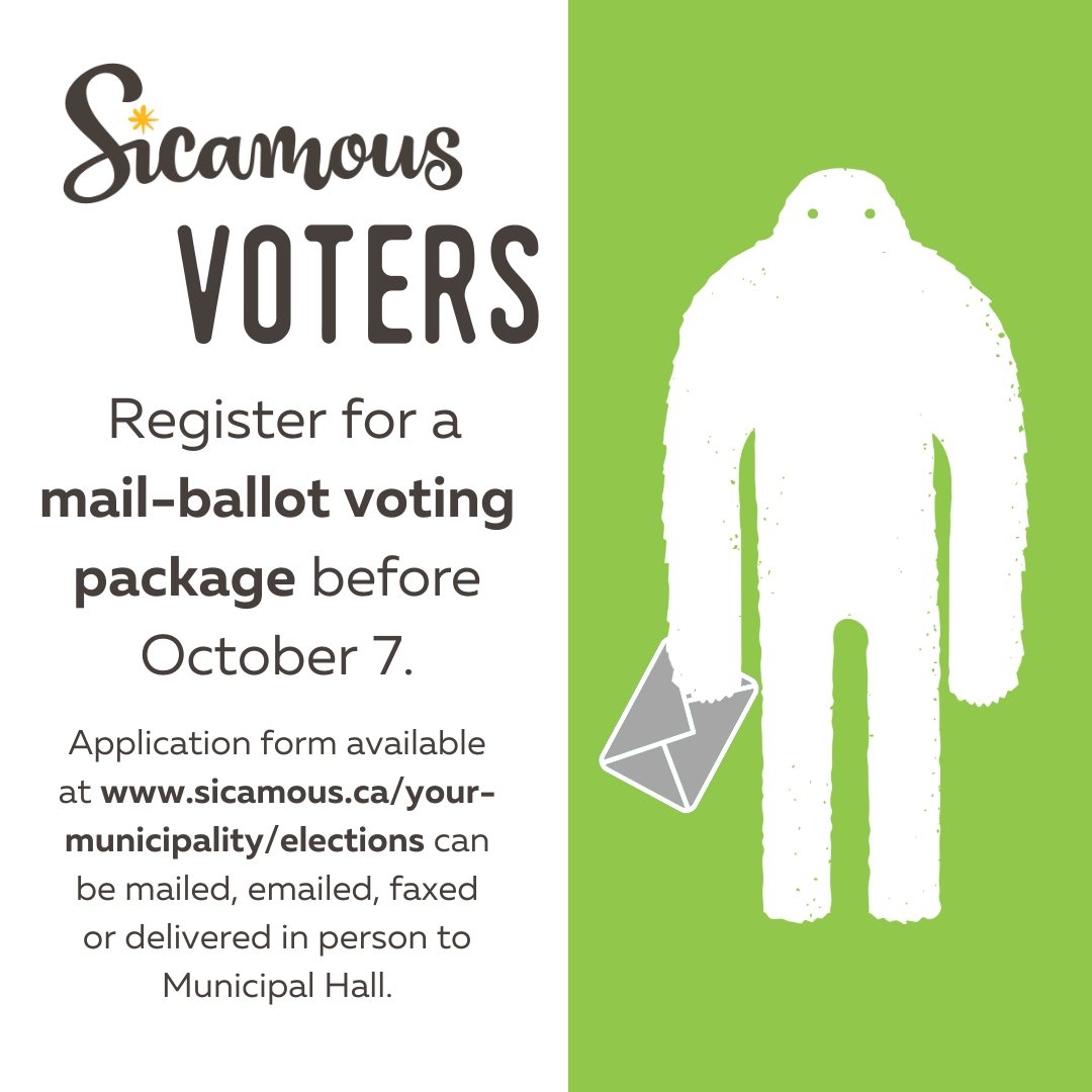 mail in ballot online application