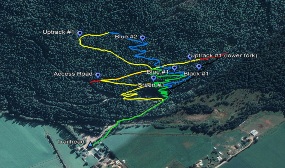 Proposed trail network for the Owlhead Bike Park.